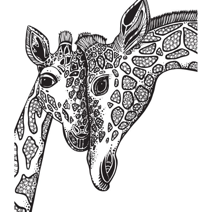 Giraffe Coloring Pages For Adults
 Adult Coloring Book Giraffe Sketch Coloring Page