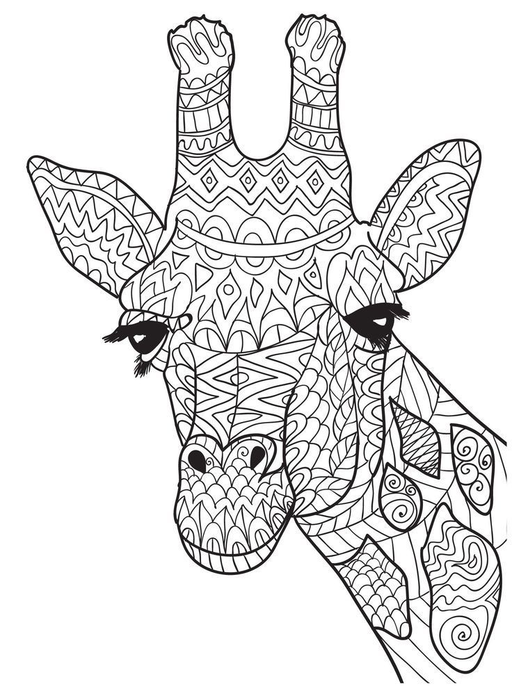 Giraffe Coloring Pages For Adults
 Giraffe Mandala Coloring Pages Part 1