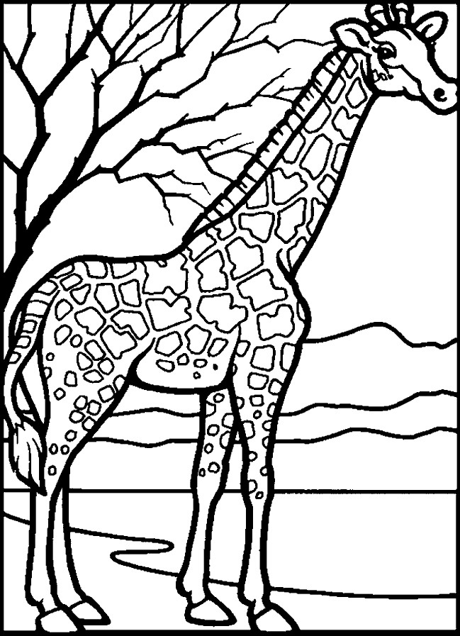 Giraffe Coloring Pages Printable
 KleuterDigitaal kp giraffe 02