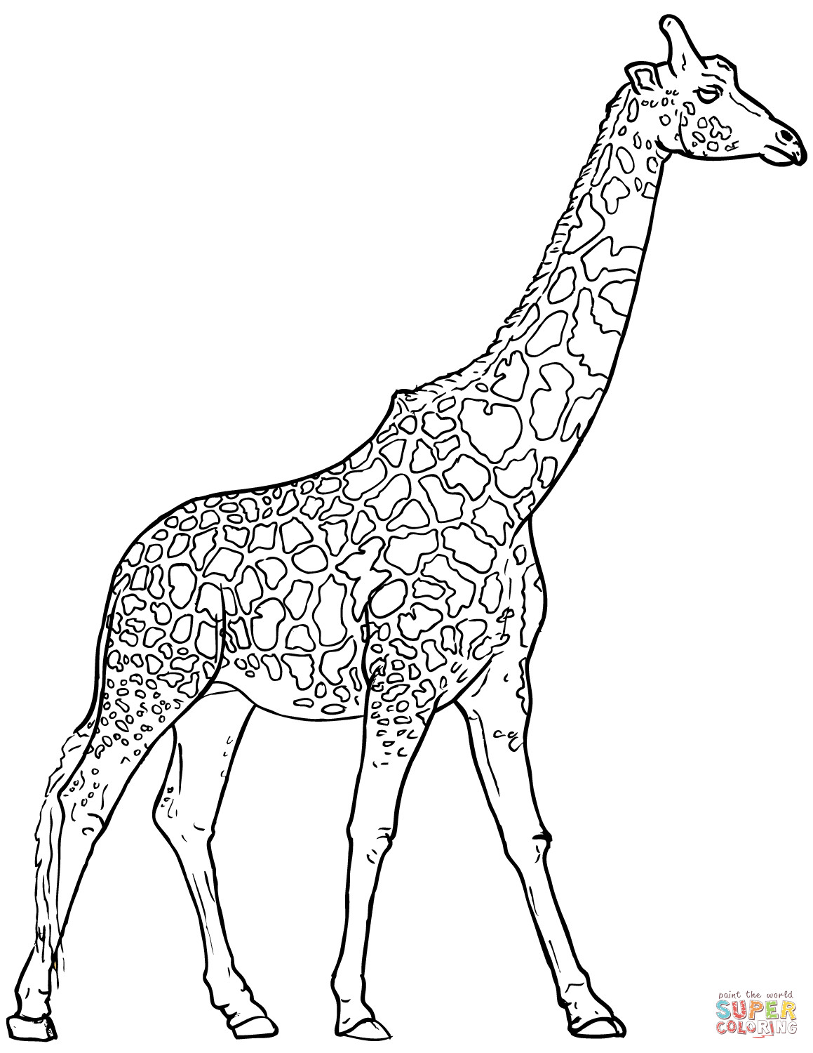 Giraffe Coloring Pages Printable
 Realistic Giraffe coloring page