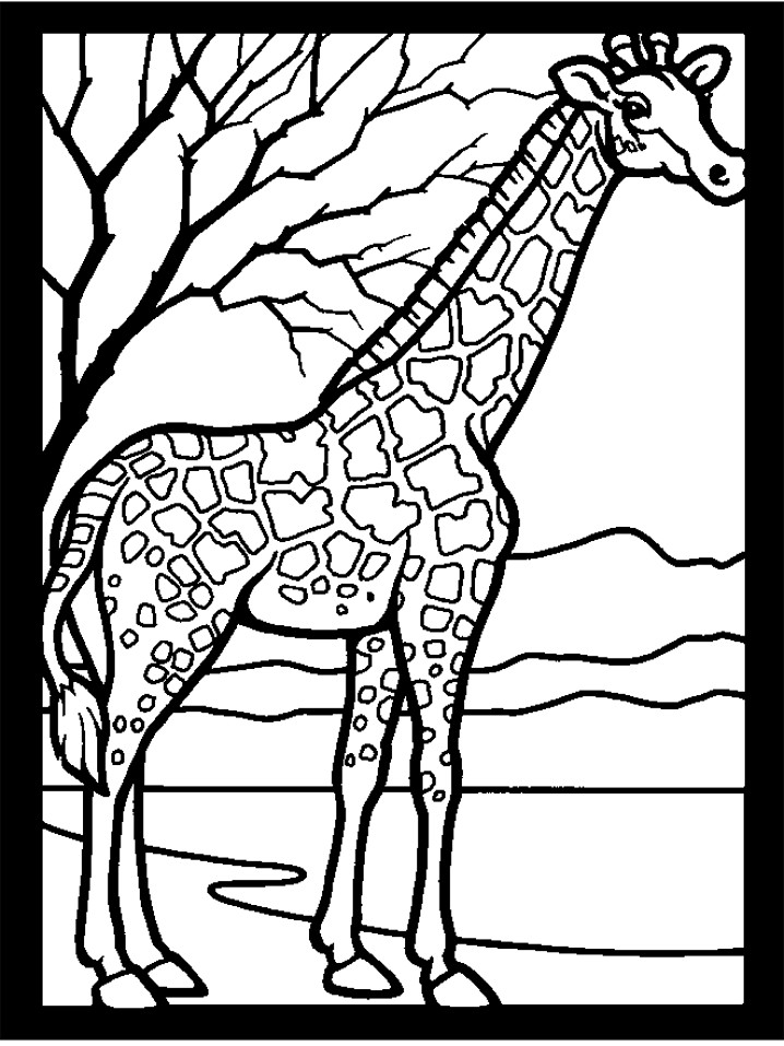 Giraffe Coloring Pages Printable
 Coloriage Girafe 2