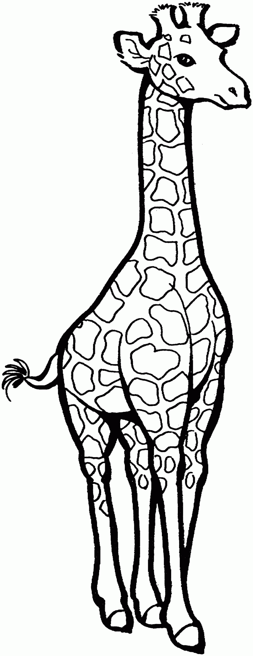 Giraffe Coloring Pages Printable
 Free Giraffe Coloring Pages