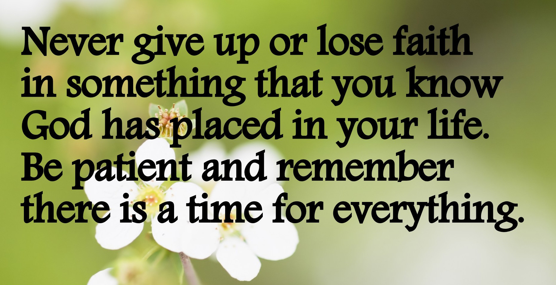 Giving Up On Life Quotes
 Quotes About Giving Up Life QuotesGram