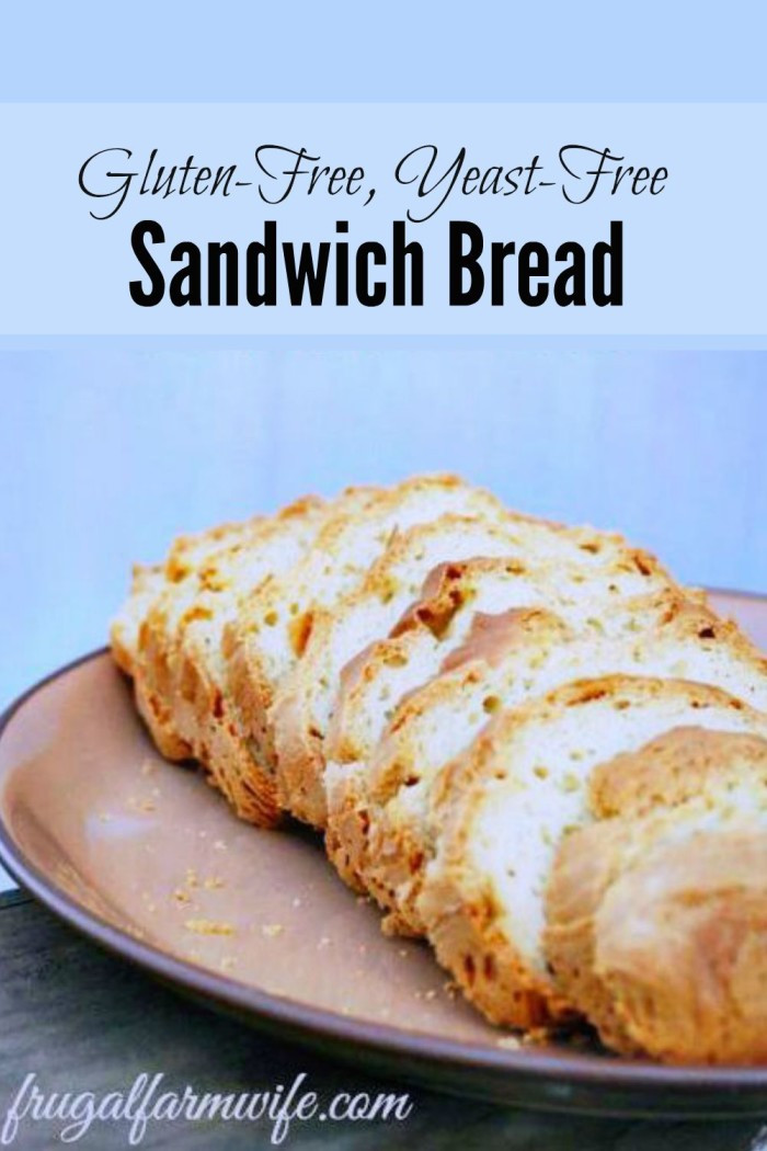 Gluten Free Bread Recipe No Yeast
 25 Quick Bread Recipes No Yeast Required