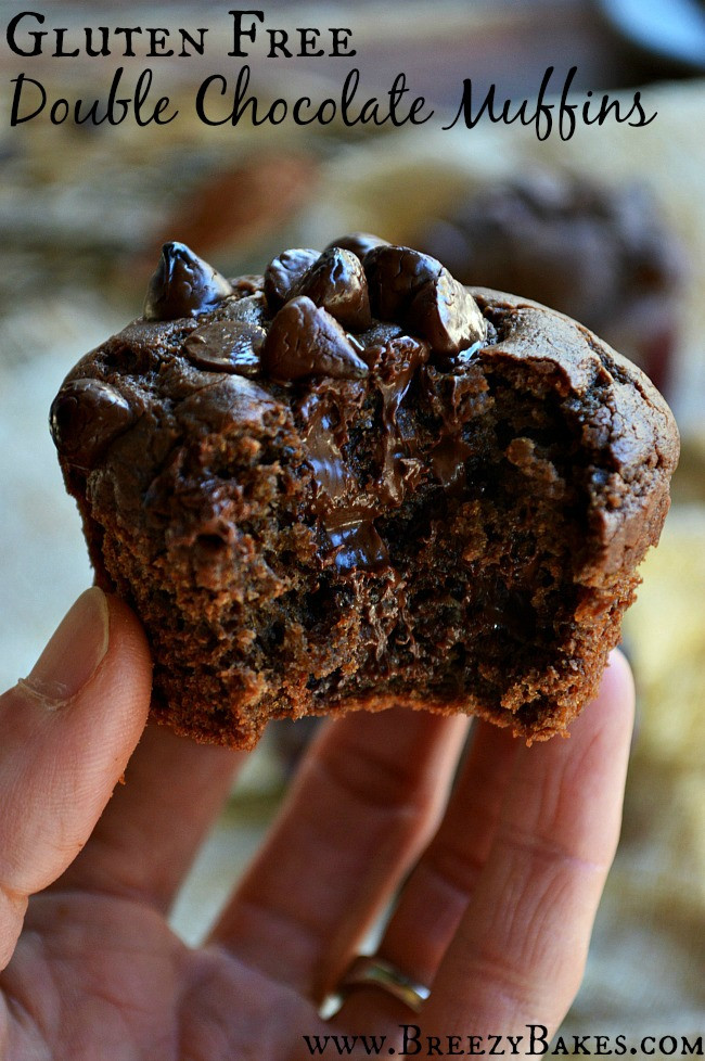 Gluten Free Cocoa Powder
 Gluten Free Dark Chocolate Muffins Breezy Bakes
