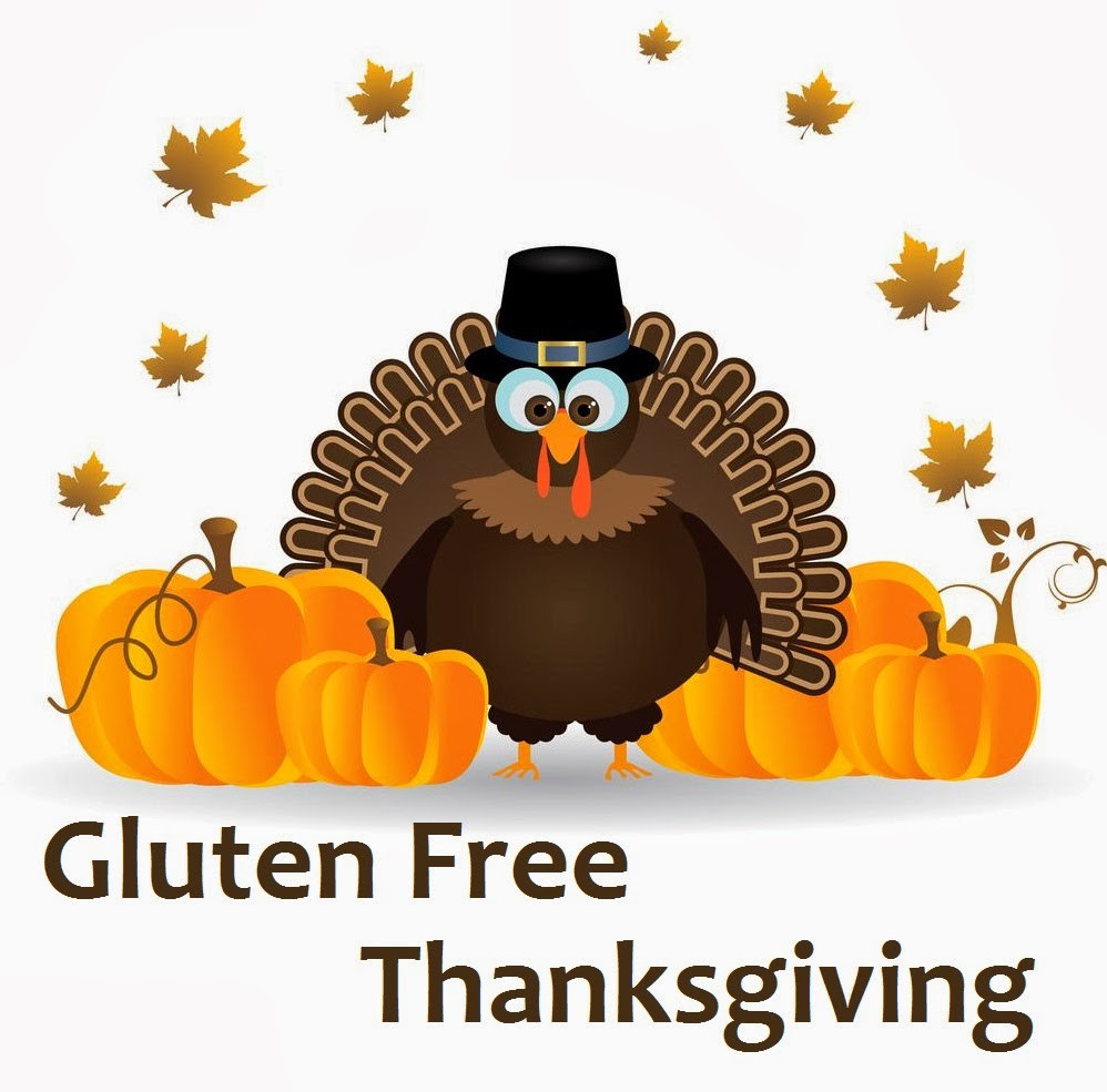 Gluten Free Dairy Free Thanksgiving
 Follow 14 Days Gluten Free Thanksgiving Recipes