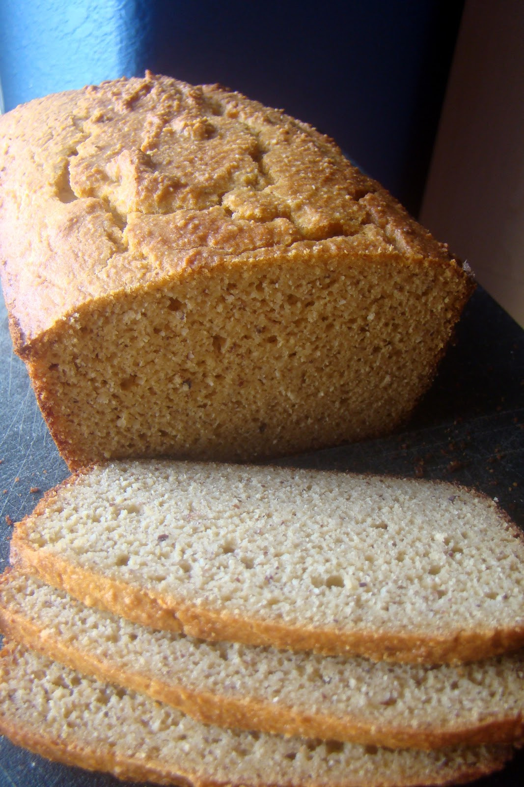 Grain Free Bread Recipes
 Nourished and Nurtured Grain free Sandwich Bread GAPS