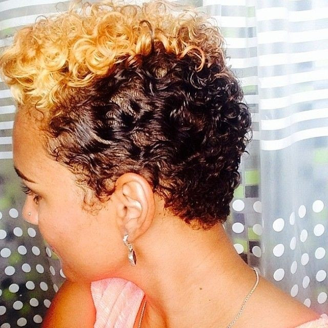 Hairstyle For Short Natural African American Hair
 16 Stylish Short Haircuts for African American Women