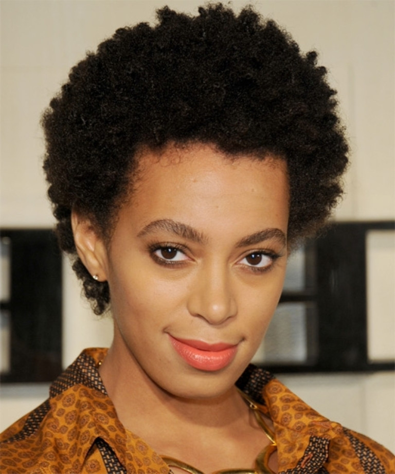 Hairstyle For Short Natural African American Hair
 Top 10 African American Curly Hairstyles To Get You