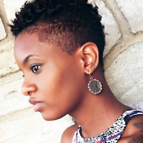 Hairstyle For Short Natural African American Hair
 Short Natural African American Hairstyles