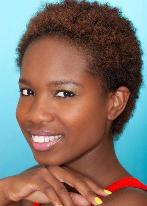 Hairstyles For Black Women With Natural Hair
 Short Natural Hairstyles