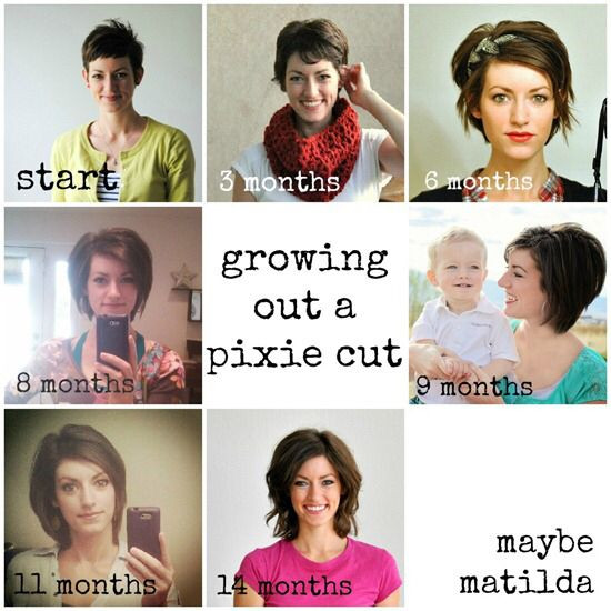 Hairstyles For Growing Out Undercut
 Growing out a Pixie cut H A I R