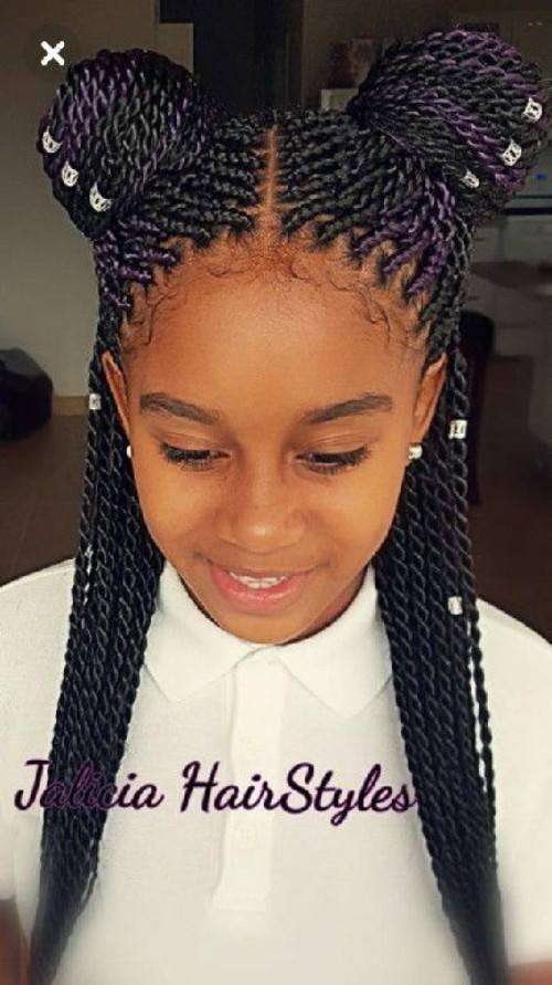 Hairstyles For Little Girls Black
 Little Black girls’ 40 Braided Hairstyles