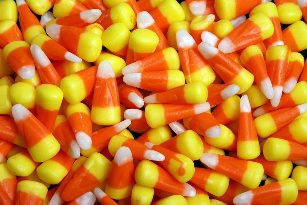 Halloween Candy Corn
 Can You Grow Candy Corn