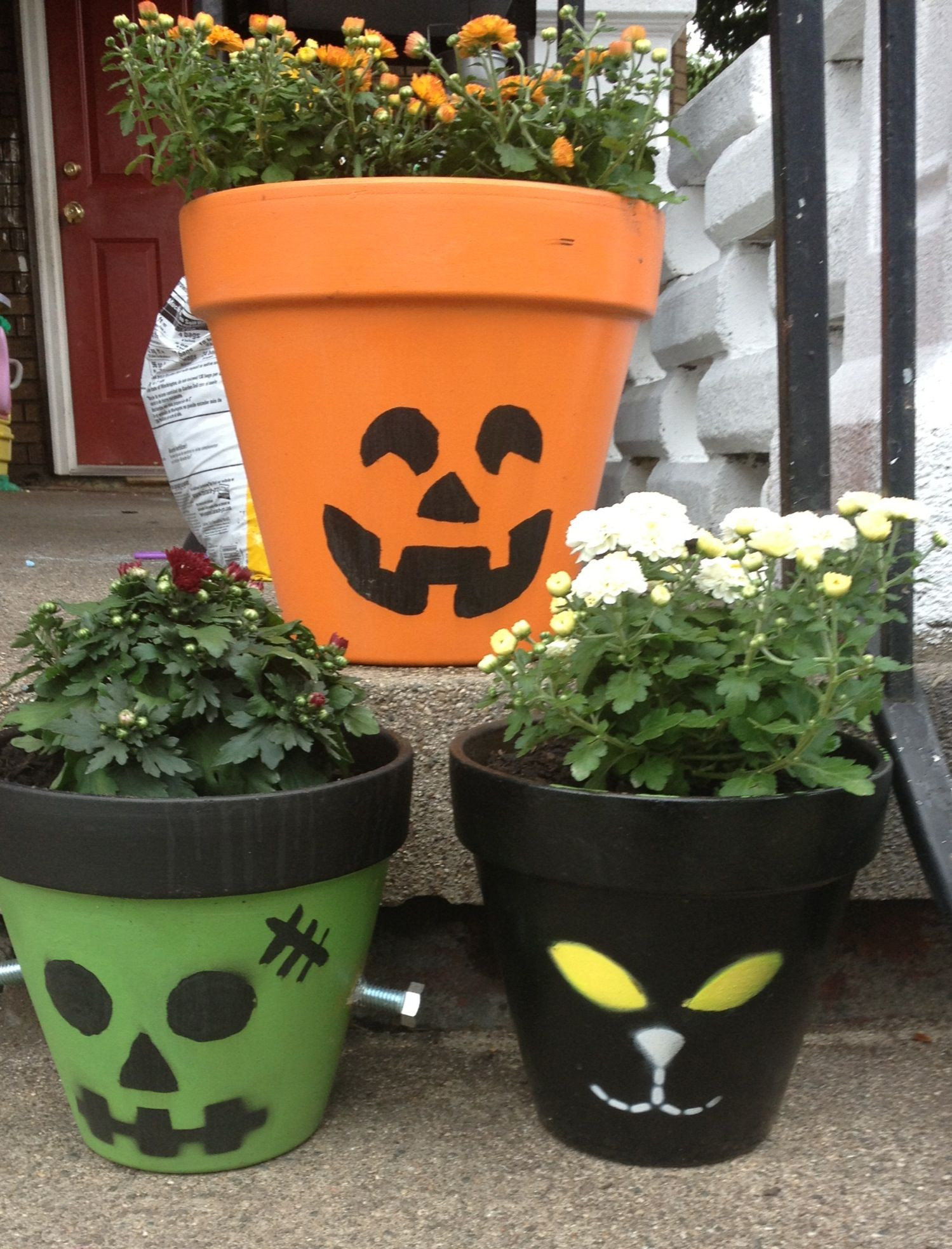 Halloween Flower Pots
 Halloween flower pots Halloween