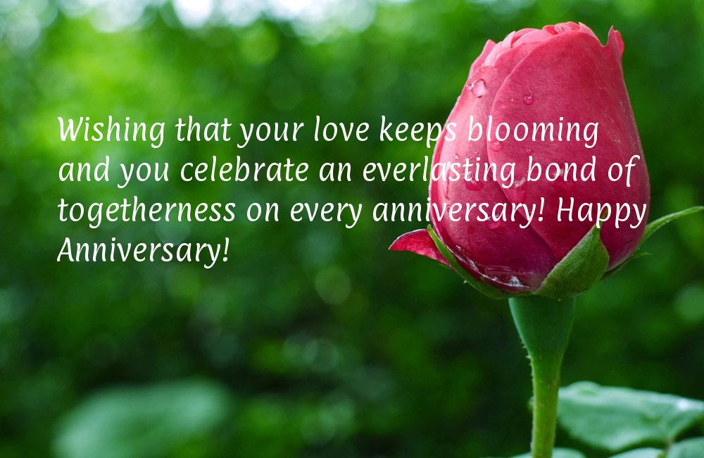 Happy Anniversary Quotes
 3rd Anniversary Quotes