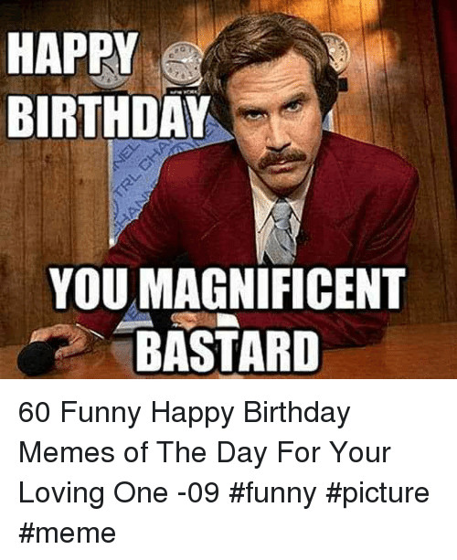 Happy Birthday Funny Meme
 HAPPY BIRTHDAY YOU MAGNIFICENT BASTARD 60 Funny Happy