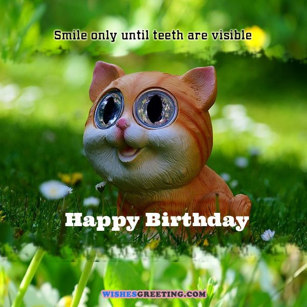 Happy Birthday Wish Funny
 105 Funny Birthday Wishes and Messages
