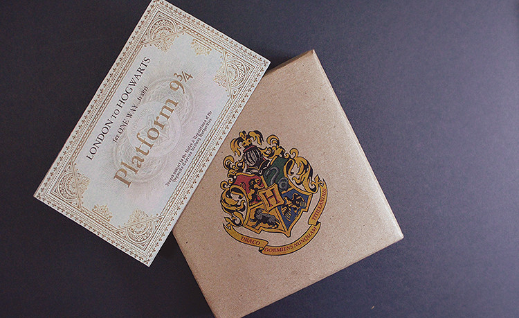 Harry Potter Birthday Gift Ideas
 Queen All You See DIY Harry Potter Themed Presents