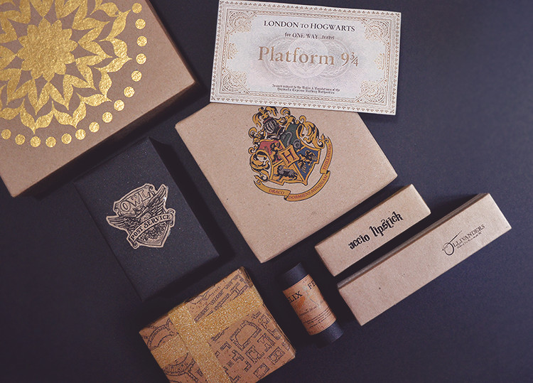 Harry Potter Birthday Gift Ideas
 Queen All You See DIY Harry Potter Themed Presents