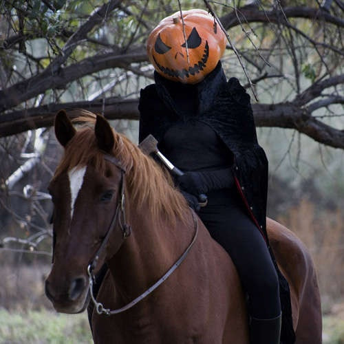 Headless Horseman Costume DIY
 Pin by Tiffany Kennedy on DIY Halloween