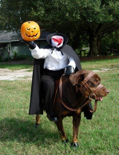 Headless Horseman Costume DIY
 DIY Dog Halloween Costumes ROMP Italian Greyhound Rescue