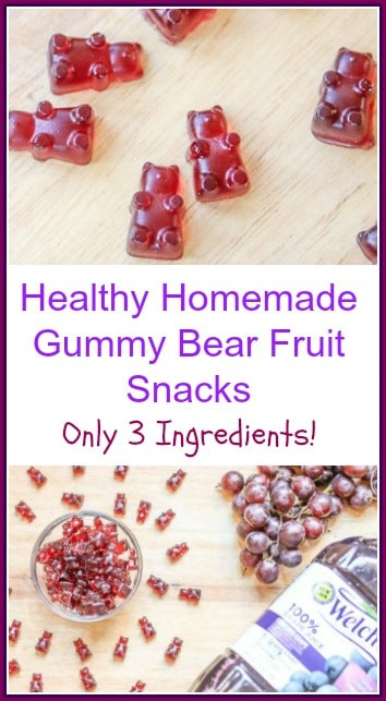 Healthy Gummy Fruit Snacks
 Healthy Homemade Gummy Bear Fruit Snacks A Fork s Tale