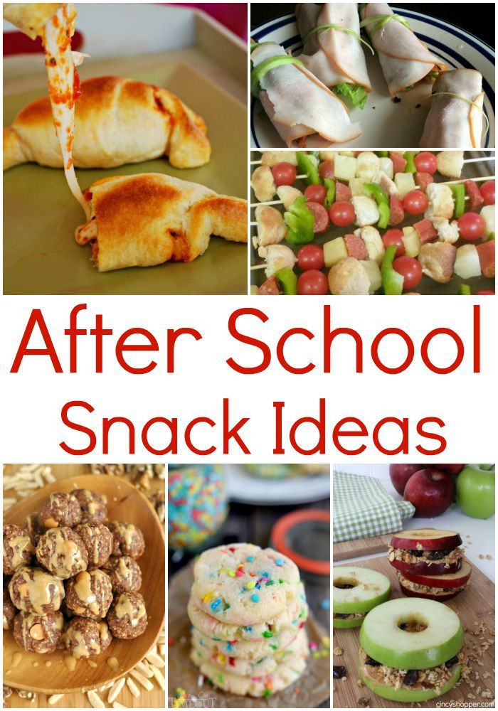 Healthy Lunch Snacks For Kids
 After School Snack Ideas for Healthy and FUN options for
