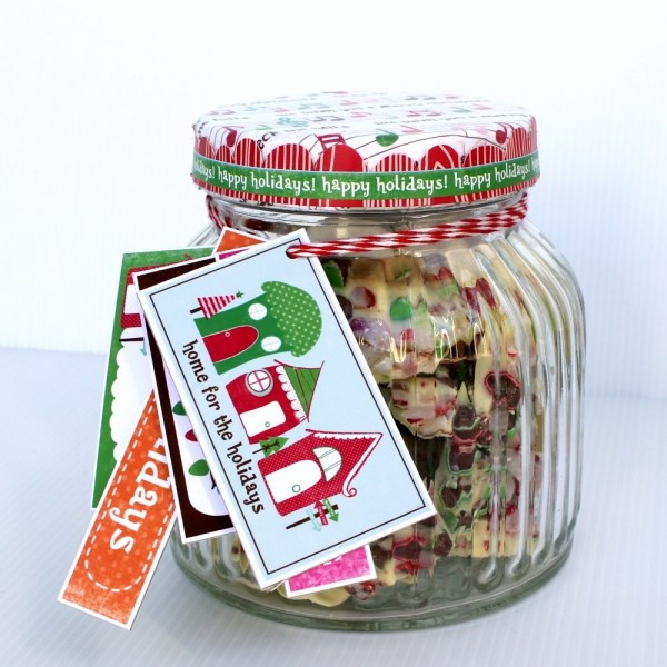 Holiday Cookie Gift Ideas
 Homemade Christmas t ideas easy and creative projects