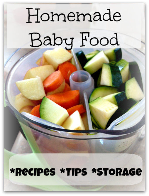 Homemade Baby Food Recipe
 Homemade Baby Food Recipes & Tips