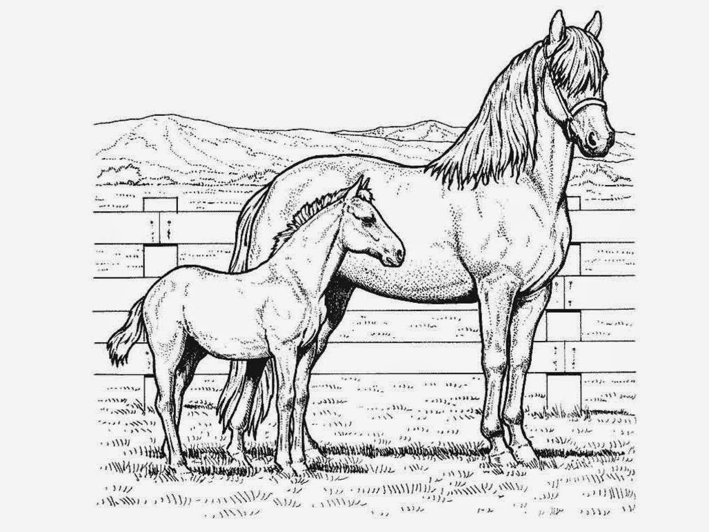 Horse Coloring Pages For Kids
 Great Horse Coloring Pages line