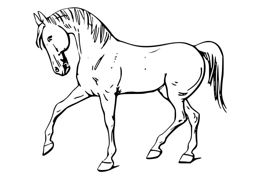 Horse Coloring Pages For Kids
 Draft Horse Coloring Pages For Kids