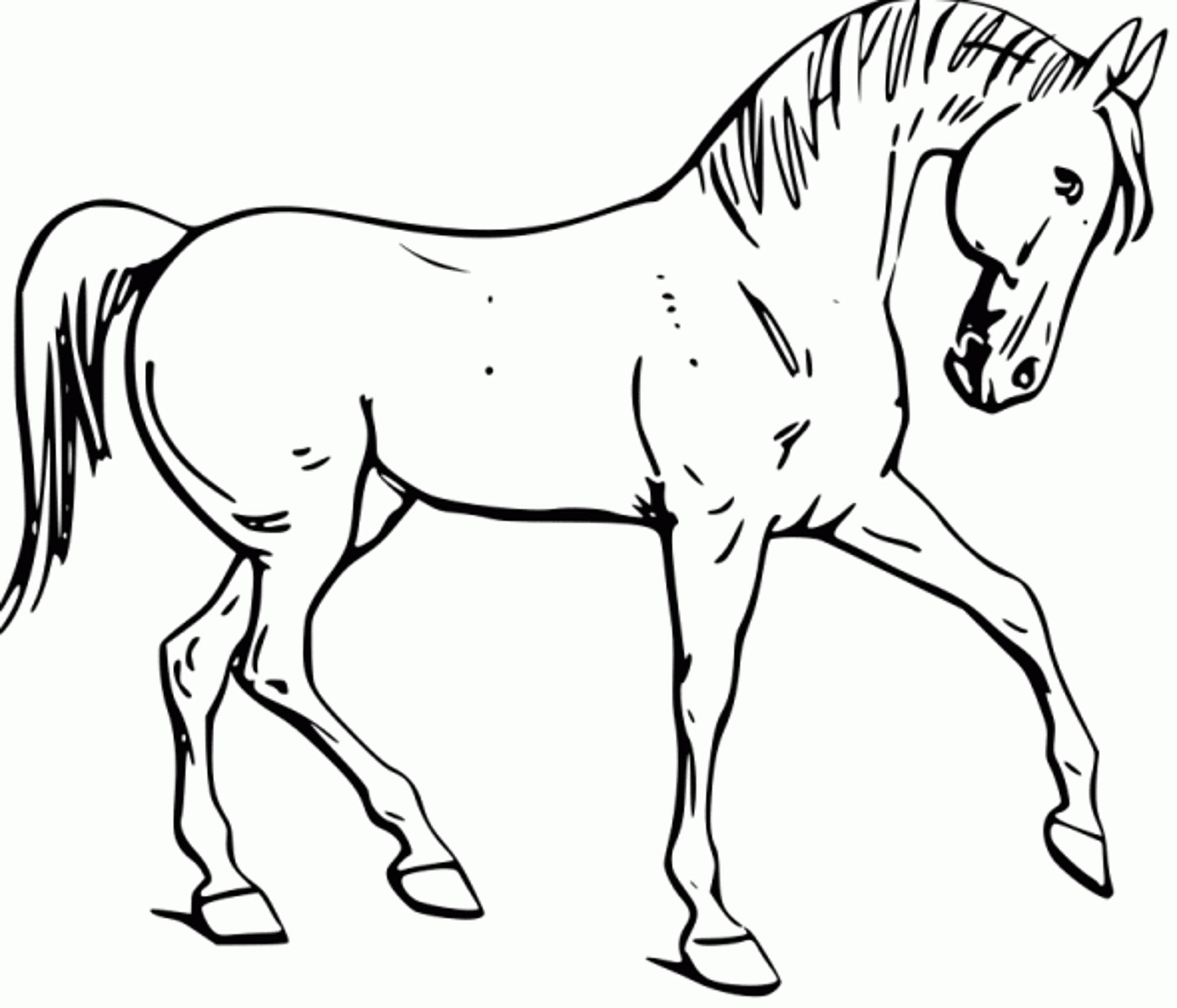 Horse Coloring Pages For Older Kids
 Fun Horse Coloring Pages for Your Kids Printable