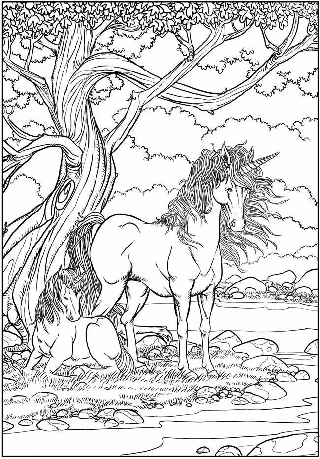 Horse Coloring Pages For Older Kids
 Unicorns Coloring Page Mythical Creatures