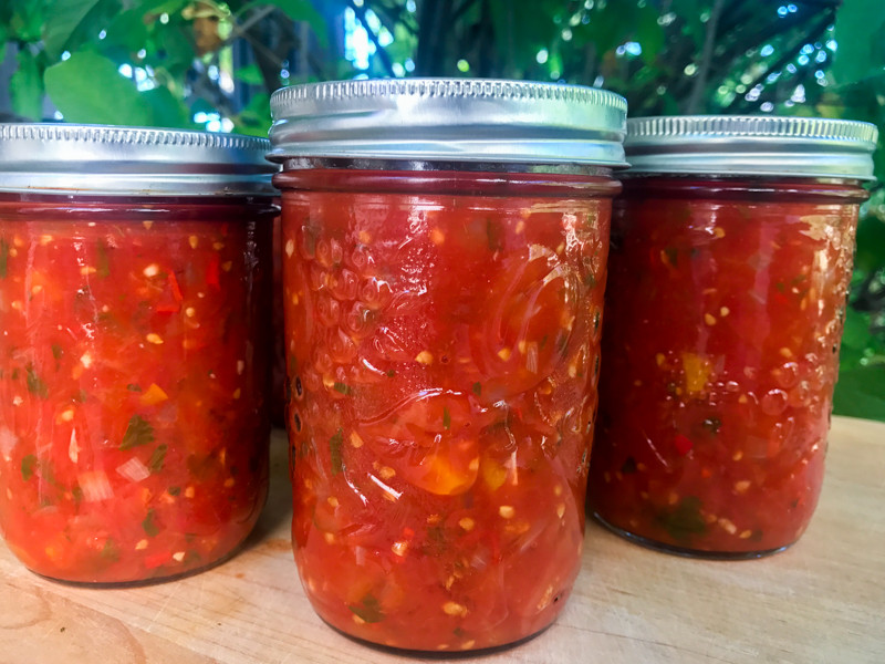 Hot Salsa Recipe For Canning
 How to Can Salsa Safely Hot Water Bath Canning