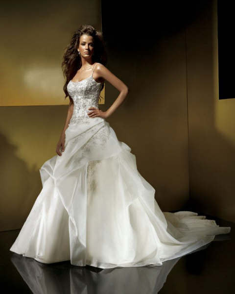 Hot Wedding Dresses
 Fossils & Antiques y wedding dresses prices