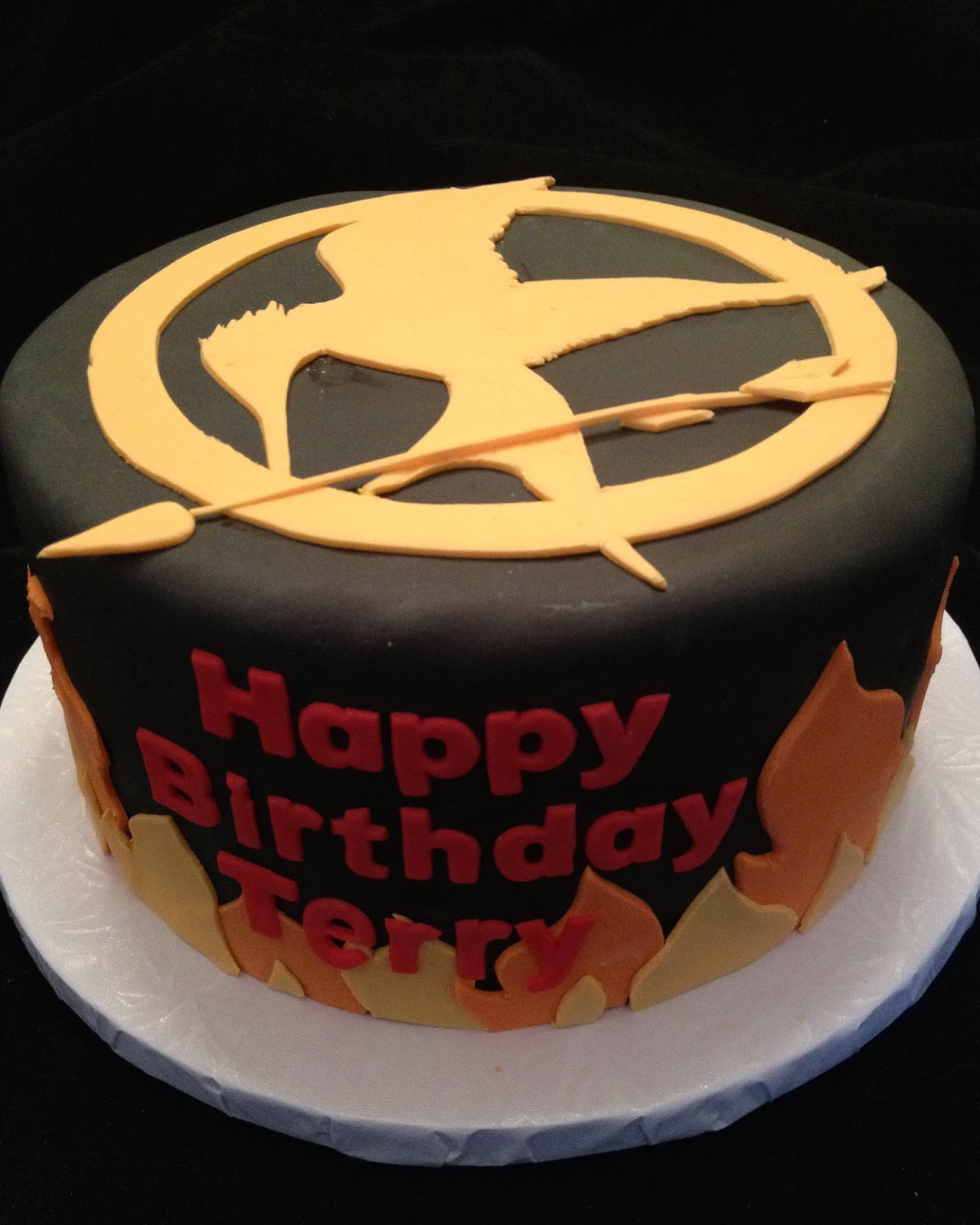 Hunger Games Birthday Cake
 Hunger Games Cake