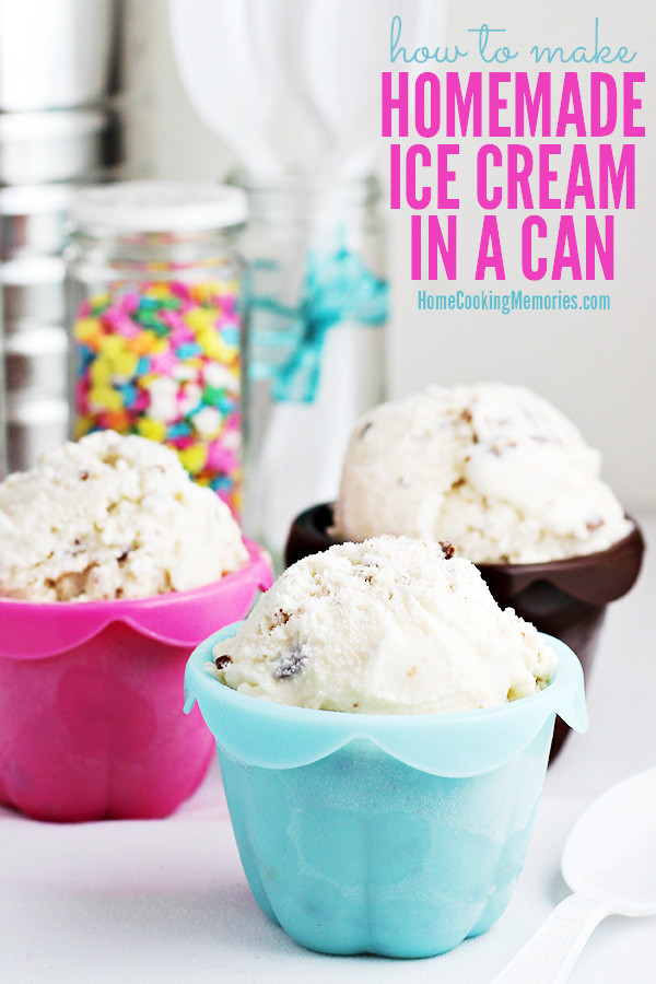 Ice Cream Recipes For Kids
 How to Make Homemade Ice Cream in a Can Fun for Kids