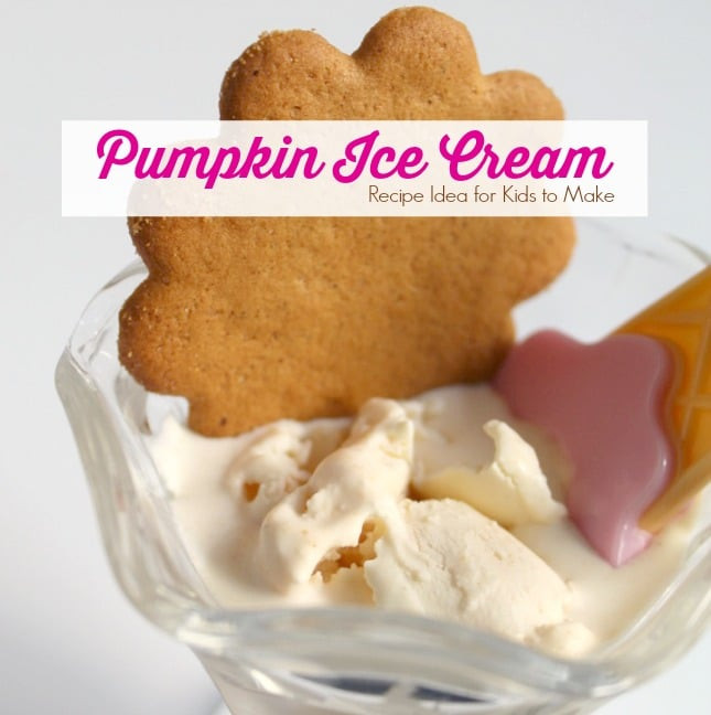 Ice Cream Recipes For Kids
 Pumpkin Ice Cream Recipe Idea for Kids to Make with Friends