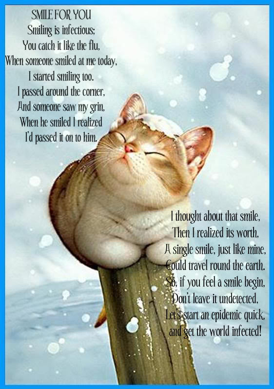 Inspirational Cat Quotes
 Motivational Cat Quotes QuotesGram