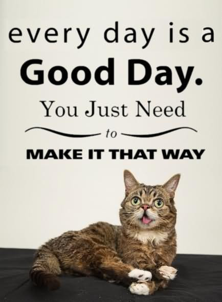 Inspirational Cat Quotes
 Everyday Is A Good Day Quotes QuotesGram
