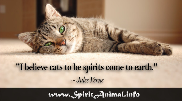 Inspirational Cat Quotes
 Cat Quotes