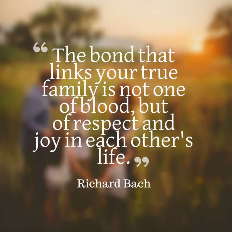 Inspirational Quote About Family
 42 Inspirational Family Quotes And Sayings With