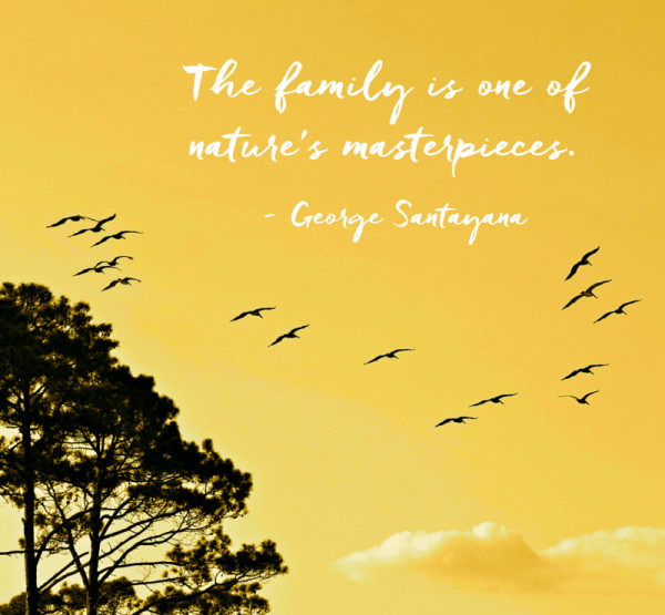 Inspirational Quote About Family
 40 Inspirational Family Quotes and Family Sayings