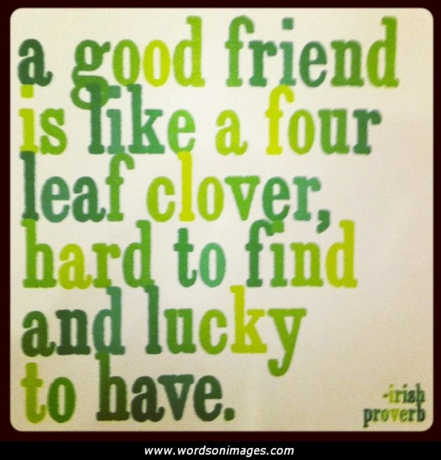 Irish Friendship Quotes
 Irish Quotes About Friendship QuotesGram