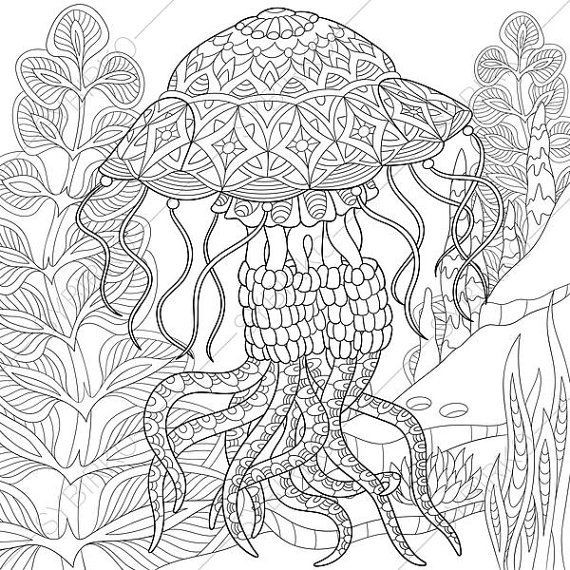 Jellyfish Coloring Pages For Adults
 Jellyfish Coloring Page Adult coloring by