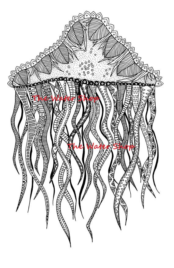 Jellyfish Coloring Pages For Adults
 Jellyfish Coloring Page Zen Jellyfish Zendoodle Underwater