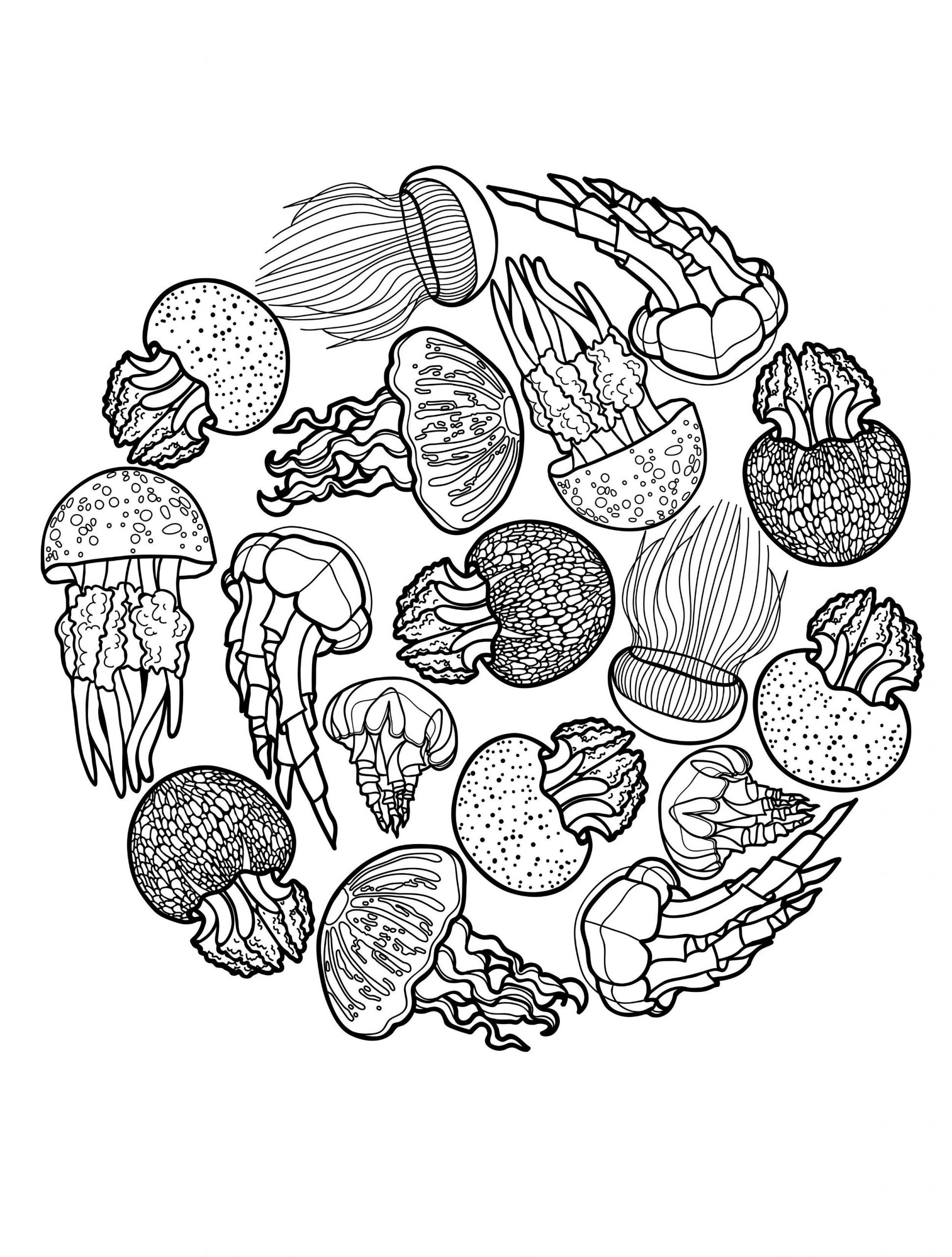 Jellyfish Coloring Pages For Adults
 23 Free Printable Insect & Animal Adult Coloring Pages