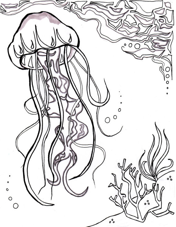 Jellyfish Coloring Pages For Adults
 Jellyfish Ocean Ocean Coloring Sheet Aquatic Art Sea