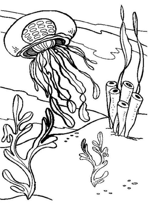 Jellyfish Coloring Pages For Adults
 417 best images about Art Coloring Pages & Designs on